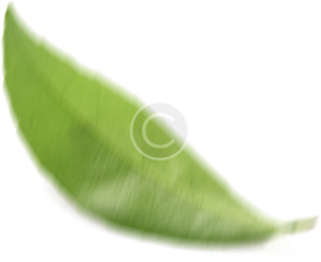 Leaflet_5_parallax